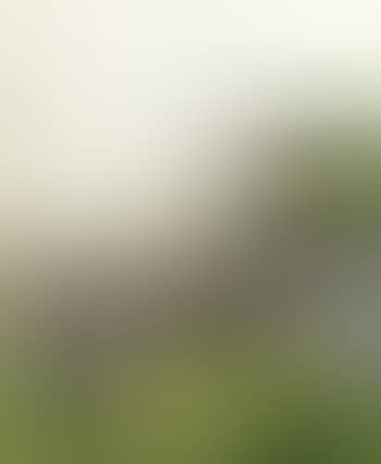 Winner's enclosure, Salisbury racecourse (preview)
