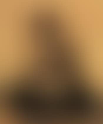 Pekingese seated on cushion (preview)