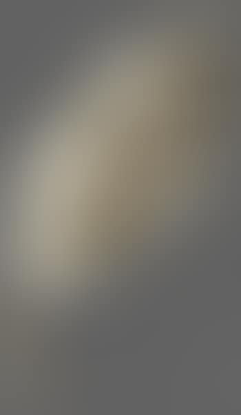 Feuille (preview)