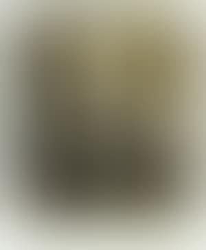 Photograph of a montage (preview)