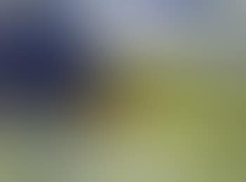 Landscape vista (preview)