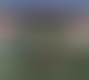 Summer landscape with cattle (preview)