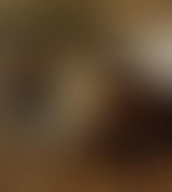 Ford (preview)