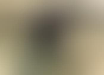 Black horse, study for vagabonds (preview)