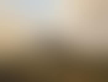 Bull, cows and sheep in a river landscape (preview)
