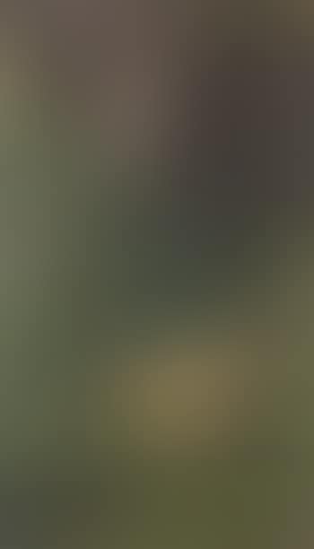 Hen in the yard (preview)
