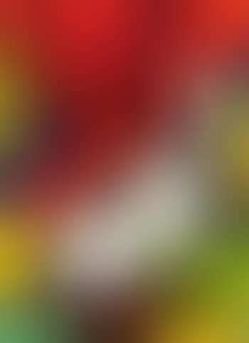 Figure (preview)