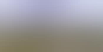 Summer landscape (preview)