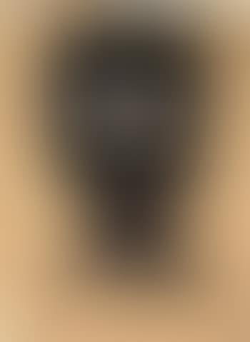 Head of South Sea islander (preview)