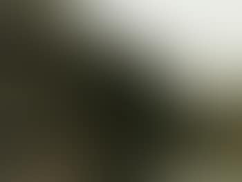 Landscape study (preview)