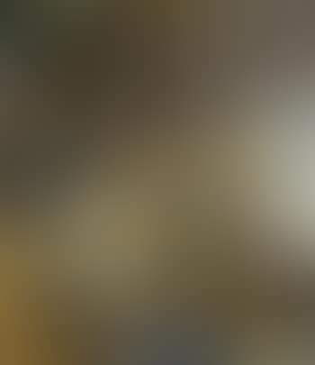 Harvest (preview)