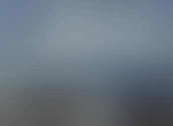 View of Skagen Strand with seagulls on the horizon, early evening (preview)