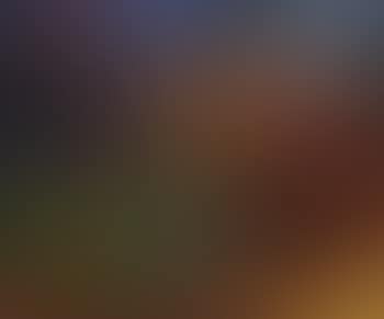 Blumengarten (preview)