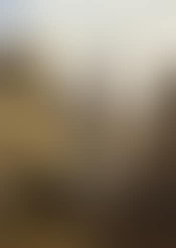 Rouen. Abbeville (preview)