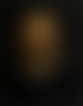 Portrait of a man in black doublet (preview)