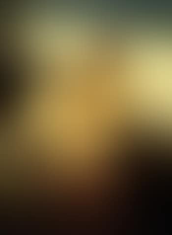 Two Oriental ladies (preview)