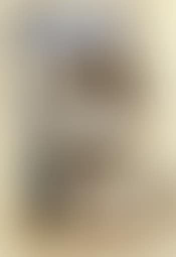 Nature morte devant une fenetre (preview)