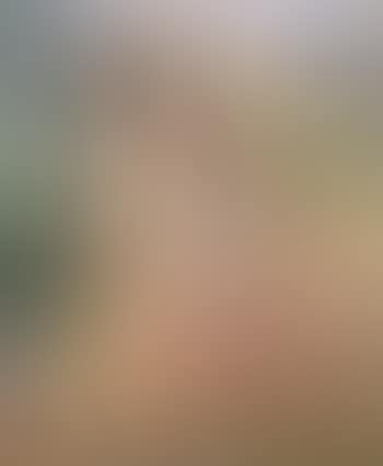 Maternite (preview)