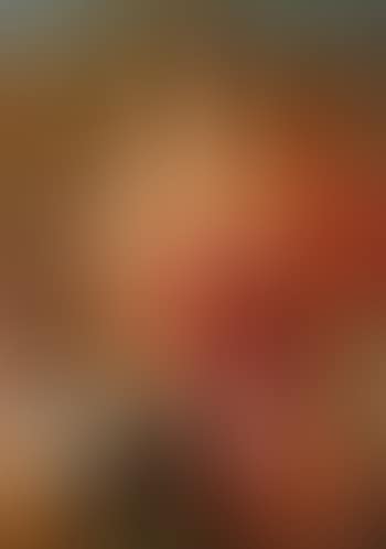 The Holy Family with Saint Catherine, saint John the Baptist and Saint Anthony (preview)