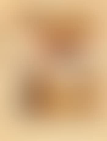 Land (preview)