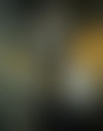 Portrait of the Duchess of Alba (preview)