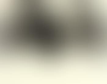 Double Mona Lisa (preview)