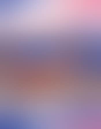 Sunset, Shoalhaven River with black swan (preview)