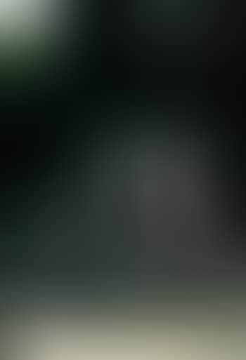 Manipulations (preview)