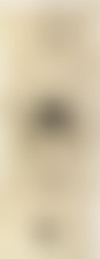 Untitled - standing female nude with bird (preview)