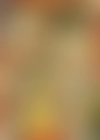 Marque d'attention (preview)