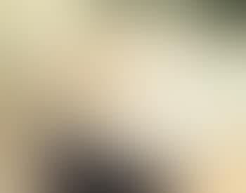 Seabirds, St. Ives II (preview)