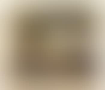Interior scene of an evening entertainment (preview)