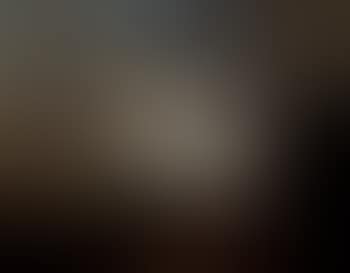 Dappled grey in landscape setting (preview)