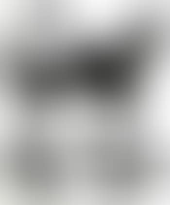 Papier dechire (preview)