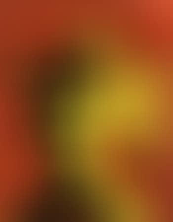 Frenzy (preview)