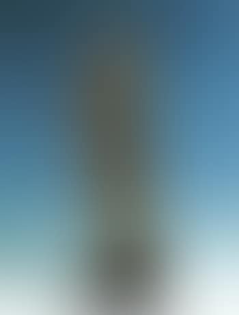 Venus (preview)