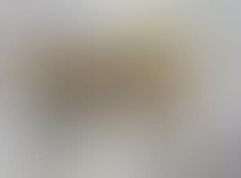 Untitled - still life (preview)