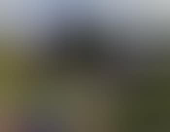 Rocky landscape with trees (preview)
