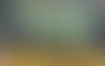 Wooded landscape (preview)