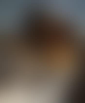 Mill (preview)