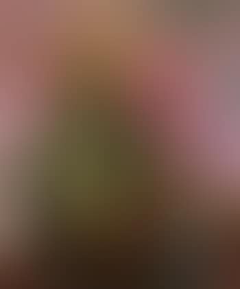 Minority leader (preview)