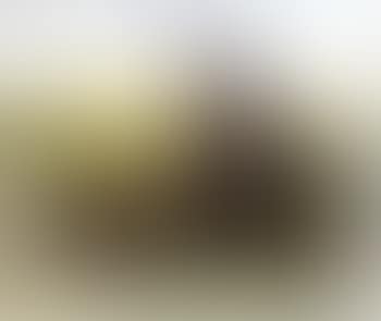 Bergere (preview)