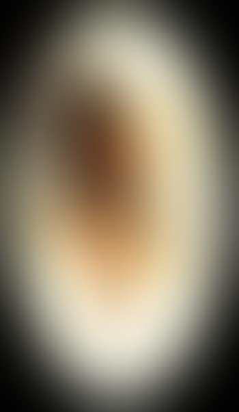 Indian portrait (preview)