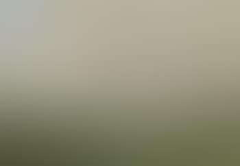 South Shropshire, Wenlock Edge from Kenley Gorse (preview)