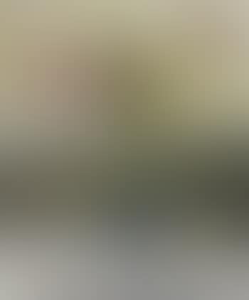 Still life of flowers (preview)