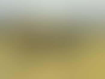 Landscape with hayricks (preview)