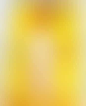 Still life and nude (preview)