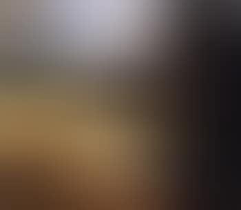 Wheatfield, Berwick (preview)