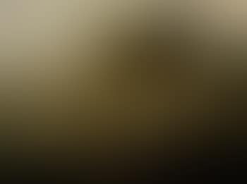 Wooded landscape (preview)