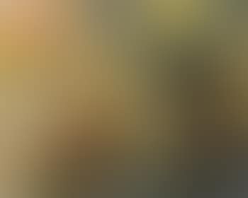 Romantic landscape with horse and sulky (preview)